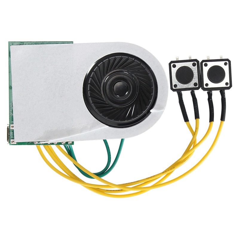 FN-G2450 Recordable Sound Module for Greeting Cards Two Buttons MP3 Sound Module for Gift Boxes